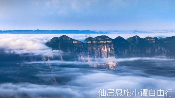 植物大战僵尸16
