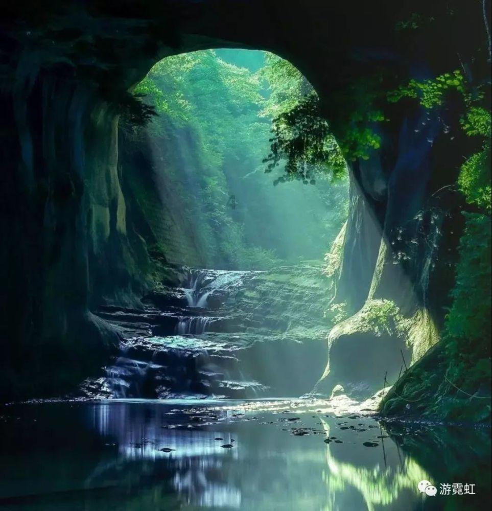 植物大战僵尸：花园战争