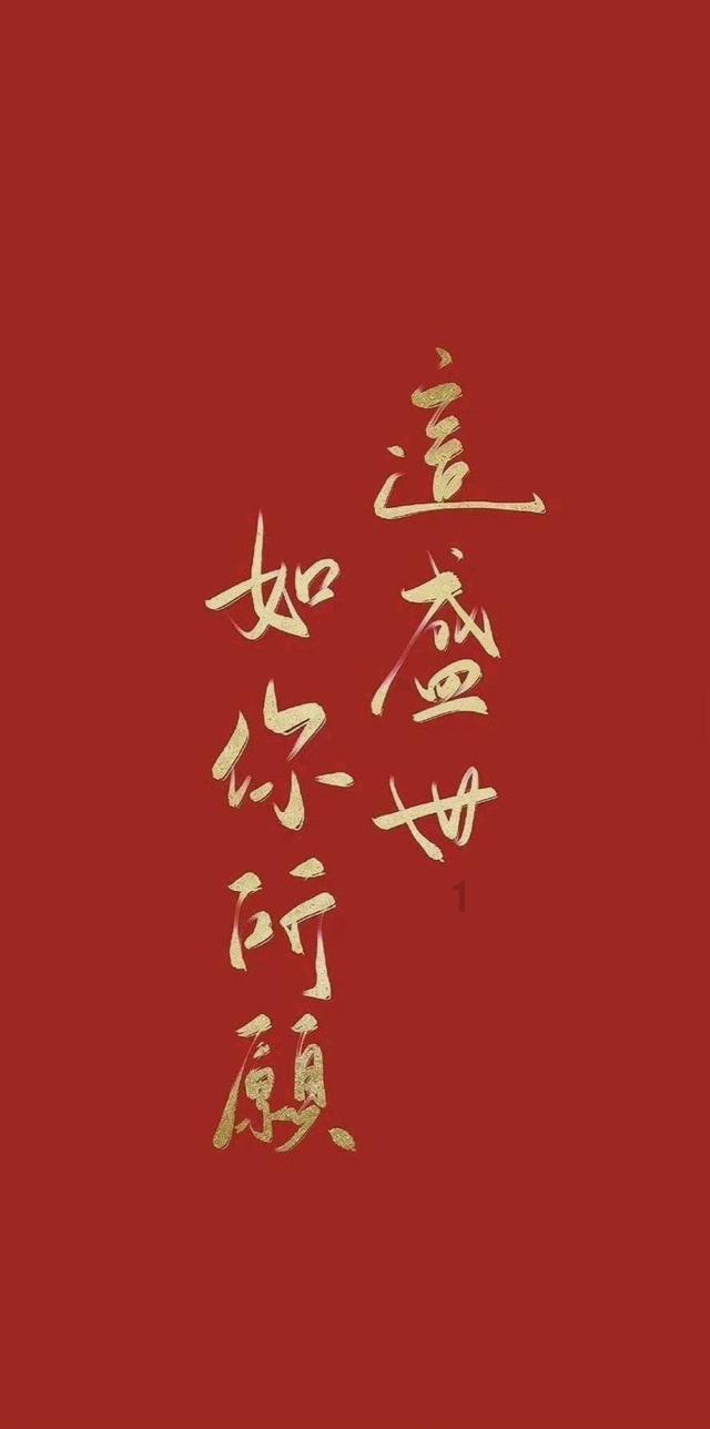 白所成等10名缅北重大犯罪嫌疑人被押解回国