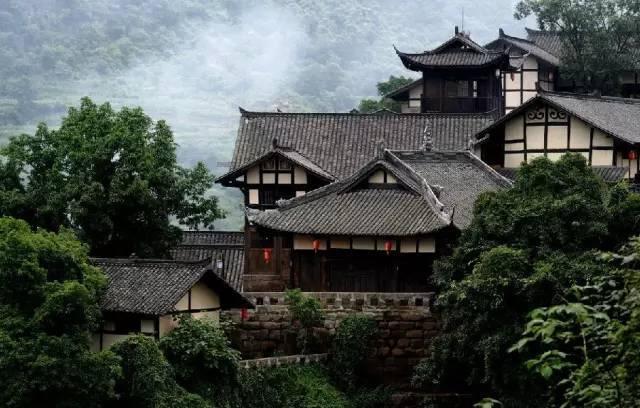 拯救枯树